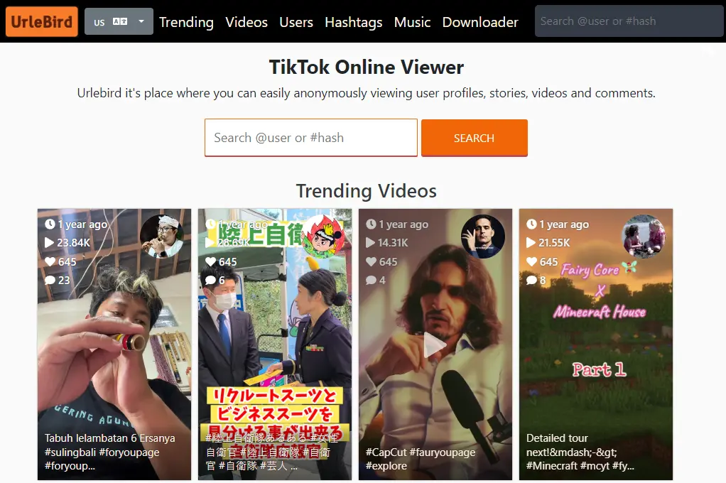 TikTok online viewer