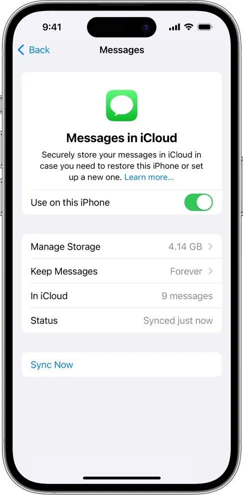 See messages saved in the iCloud backup